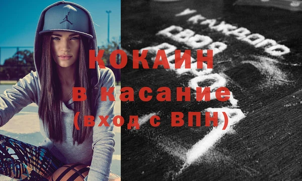 хмурый Арсеньев