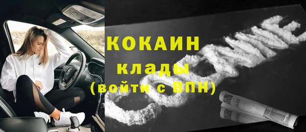 хмурый Арсеньев