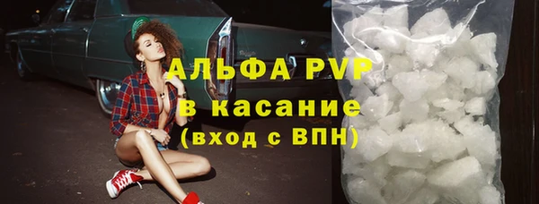 хмурый Арсеньев