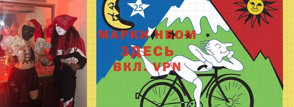 хмурый Арсеньев