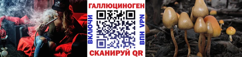 Псилоцибиновые грибы Cubensis  Урень 